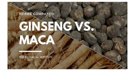 Ginseng Vs Maca Similarities Differences The Botanical Institute