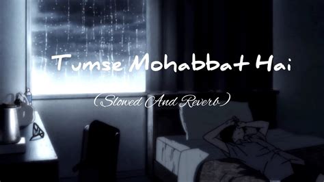 Tumse Mohabbat Hai Slowed And Reverb Jalraj Lo Fi Songs Ab