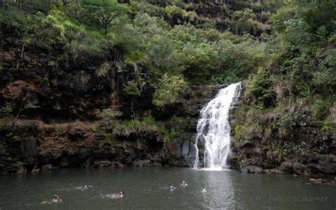 Waimea Falls Park - Oahu - Reviews of Waimea Falls Park - TripAdvisor Waimea Falls, Falls Park ...