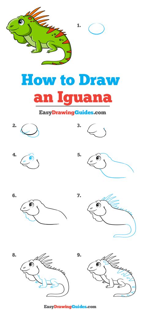 How To Draw An Iguana Really Easy Drawing Tutorial