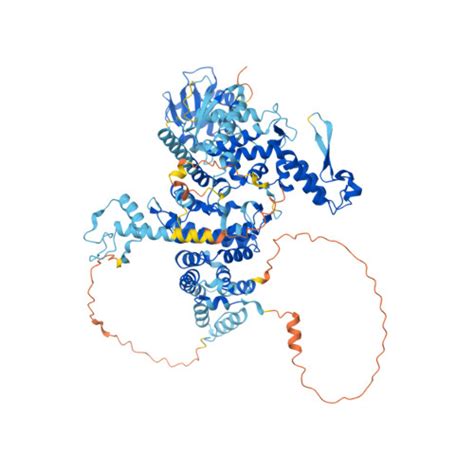 Rcsb Pdb Af Afq F Computed Structure Model Of Ubiquitin Protein