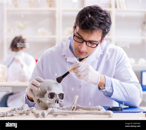 El profesor estudiando esqueleto humano en el laboratorio Fotografía de