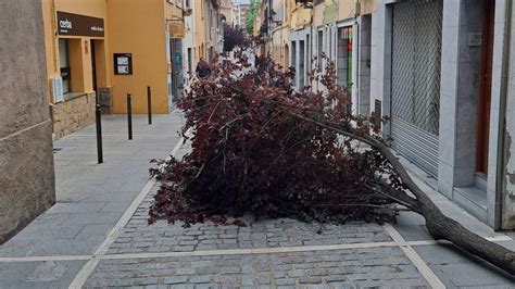 Not Cies Cau Un Arbre Al Carrer Xerric I Un Altre A Sant Francesc