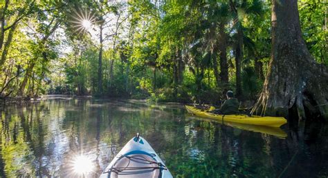 Visiter La Floride Tr Sors D Couvrir Absolument