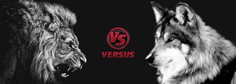 Lion vs Wolf Wallpaper by Mohamme on DeviantArt