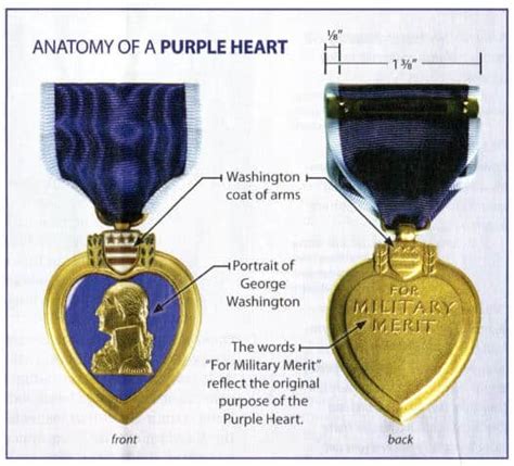 Purple Heart Medal Of Honor