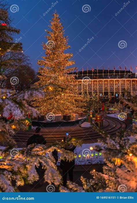 Denmark - Christmas Tree All Lit Up - Copenhagen Editorial Photo ...