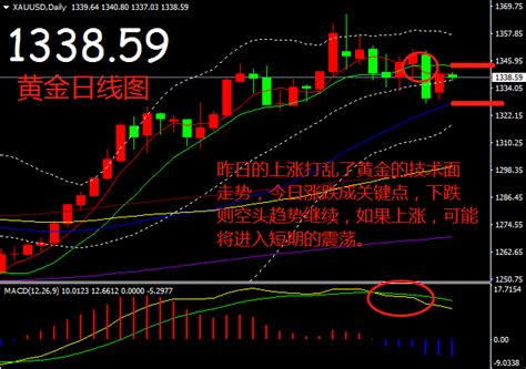 分析师金晓峰：26黄金进入关键期，涨跌看今日中金在线财经号