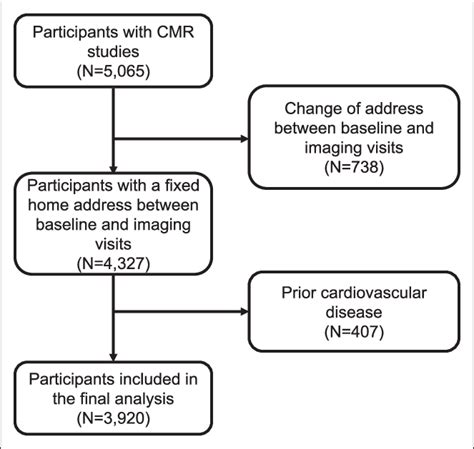 Case Selection Flowchart Cmr Indicates Cardiovascular Magnetic