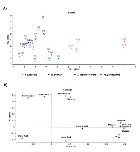 Principal Component Analysis Pca Plot Based On The Metabolite Download Scientific Diagram