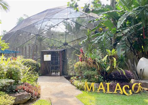 davao city guide  hotels       philippines
