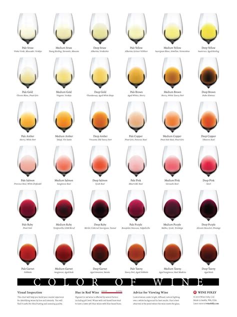 Complete Wine Color Chart Download Wine Folly Wine Folly Wine