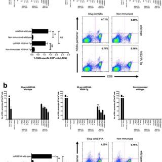 Ns A And Ns A Specific T Cell Activation In The Presence Of A