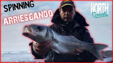 PESCA A SPINNING Lubinas abadejo y RIESGO SEÑUELO EWE Asturias