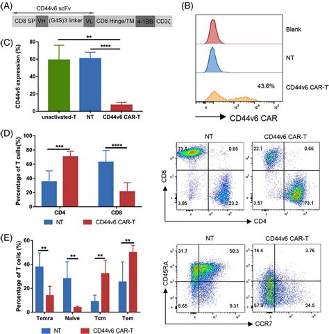 Cd V Chimeric Antigen Receptor T Cell Specificity Towards Aml With