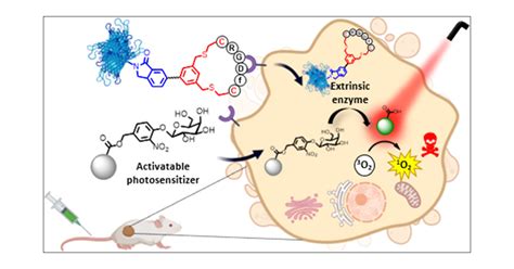 Specific Activation Of Photosensitizer With Extrinsic Enzyme For