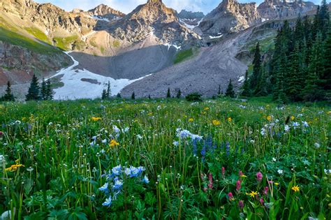 Grand Mesa Uncompahgre And Gunnison National Forests Home