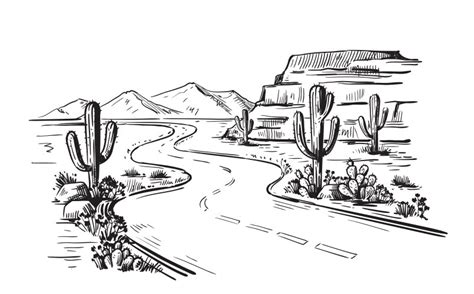 Cacti In Arizona Desert Sketch Royalty Free Vector Image