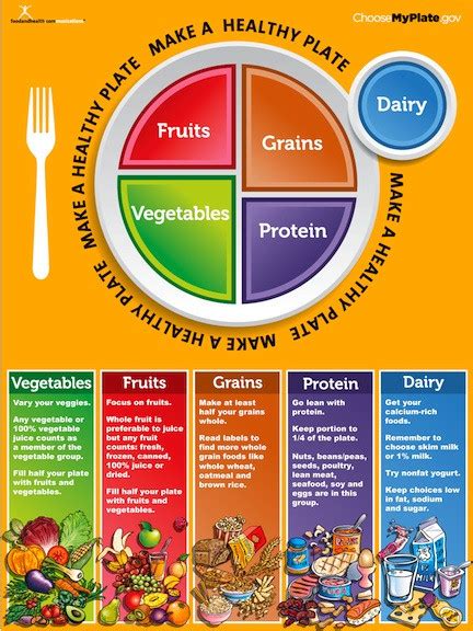 Usda Food Plate Percentages