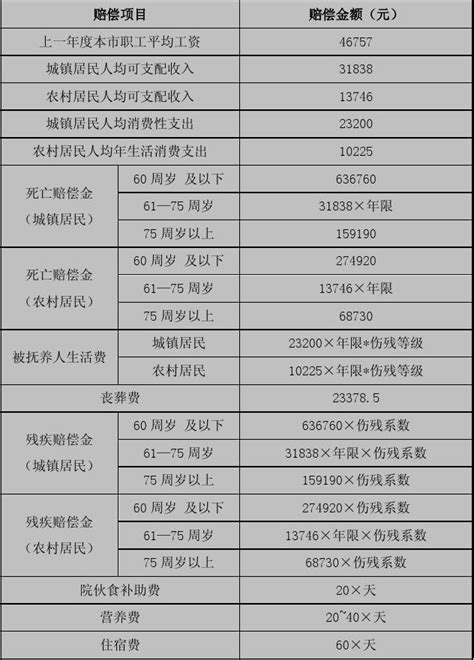 上海市2011年交通事故人身损害赔偿标准word文档在线阅读与下载无忧文档