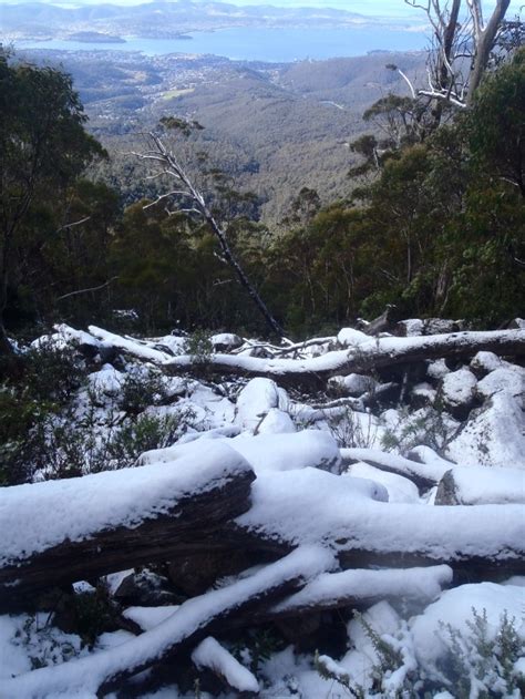 Mt Wellington Snow | walktassie