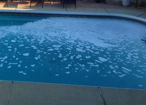 rid  swimming pool foam dolphin pool services