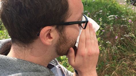 Allergies aux pollens d aulne le Rhône en alerte rouge