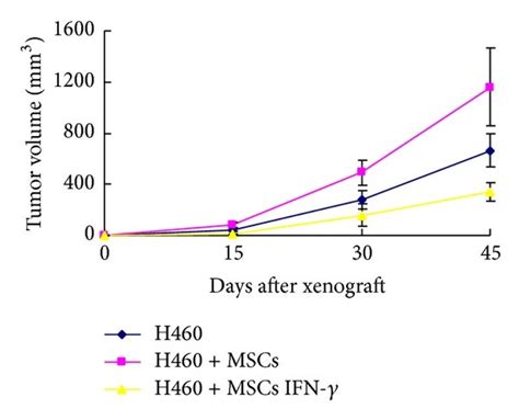 MSCs IFN γ inhibit tumor mass growth in nude mice a Tumor sizes were Download Scientific