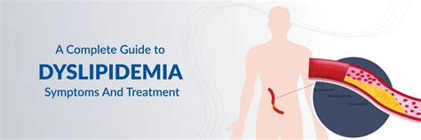 O Que Dislipidemia Causas Sintomas Tratamento