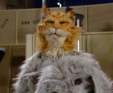 Stunt Cat Muppet Wiki Fandom Powered By Wikia