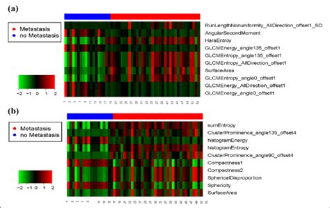 Heat Map Of Top 10 Radiomic Features Download Scientific Diagram