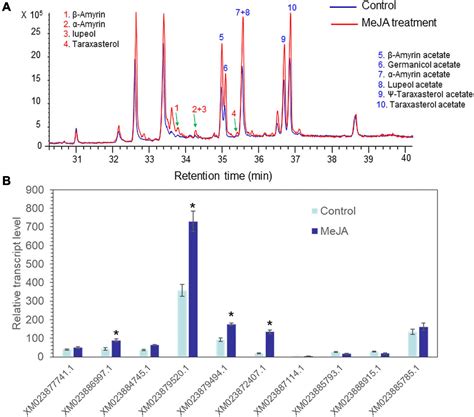 Frontiers Characterization Of A Pentacyclic Triterpene