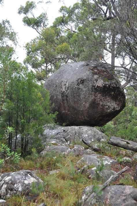 Cypress Pine Campground Morgans Gully Track Boorook Nsw 2372 Australia