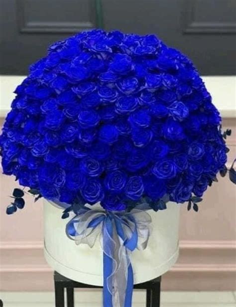 Pin By Thehandcraftandsewinglover On Royal Blue Azul Real Blue Rose