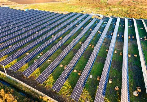 Acme Solar And Renew Power Winners In Msedcls 500 Mw Solar Auction