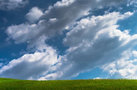 Free Images Landscape Nature Grass Horizon Cloud Sky White