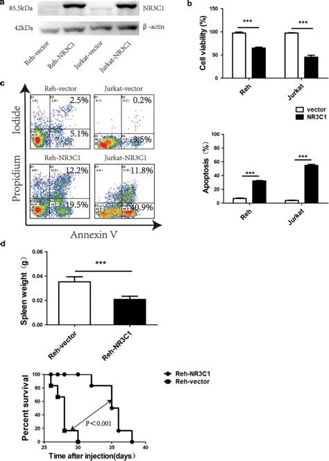 Effects Of Ectopic Expression Of Nr C In Glucocorticoid Resistant All