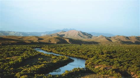 Forest Hills River Nature Landscape