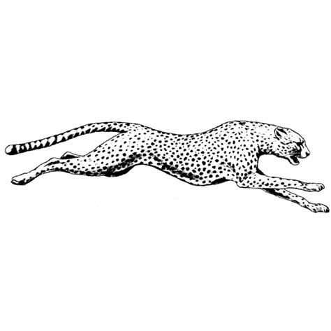 Running Cheetah 1494J - Beeswax Rubber Stamps