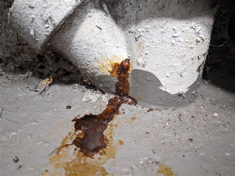 New homeowner - what is this? leak? crack? spilled solvent? : r/Plumbing