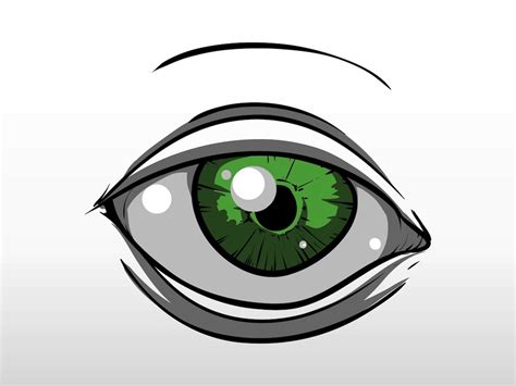 Green Eye Vector Art & Graphics | freevector.com