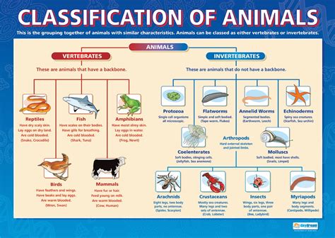 .: Classification of animals