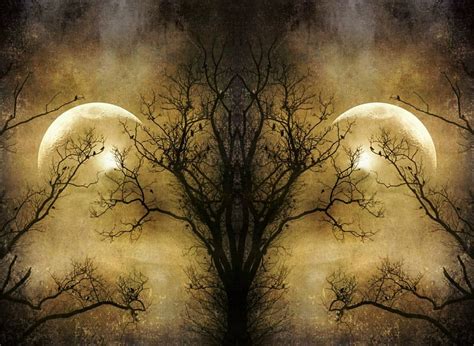 Dark Night Art Tree Moon Dark Collage Hd Wallpaper Peakpx