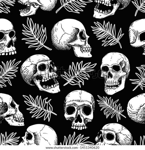 Vector Seamless Pattern Human White Skulls Vetor Stock Livre De Direitos 1451340620