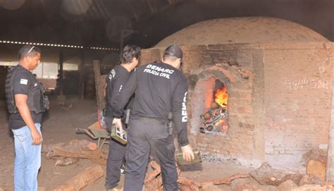 Drogas no avião Polícia Civil incinera os mais de 220 kg de pasta base