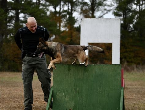 Services 1 — East Coast Canine Inc.