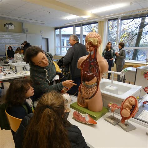 Das Gymnasium Siegburg Alleestraße öffnet seine Türen GYMNASIUM