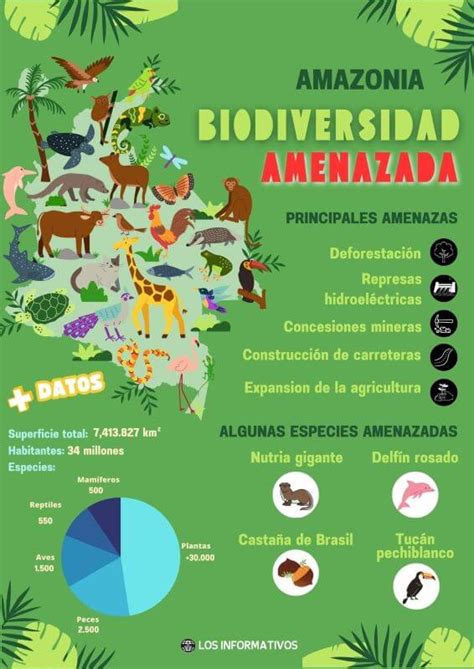 Infograf A Sobre La Biodiversidad Y Amenazas A La Amazonia