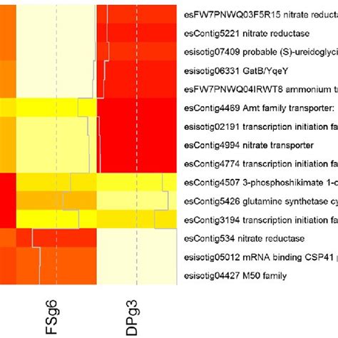 Heat Map Showing Expression Of All Contigs Within The Rna Seq Libraries