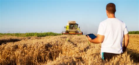 Psr Nuovi Bandi Per Giovani Agricoltori Per Il Biennio Si